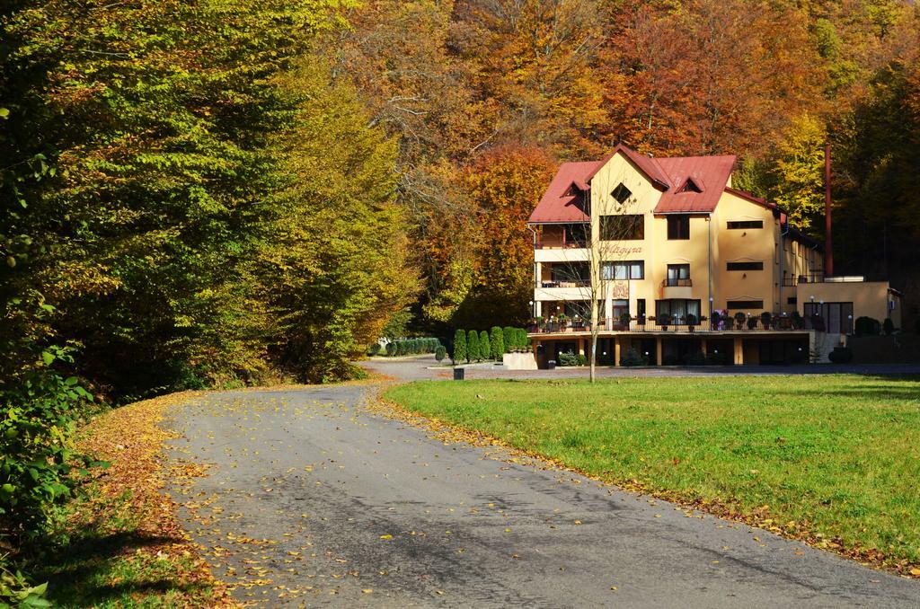 Pensiunea Magura Baia Mare Exterior photo