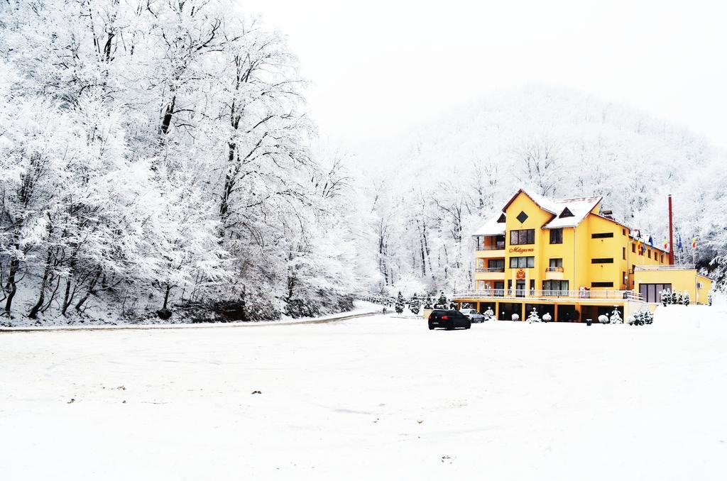 Pensiunea Magura Baia Mare Exterior photo