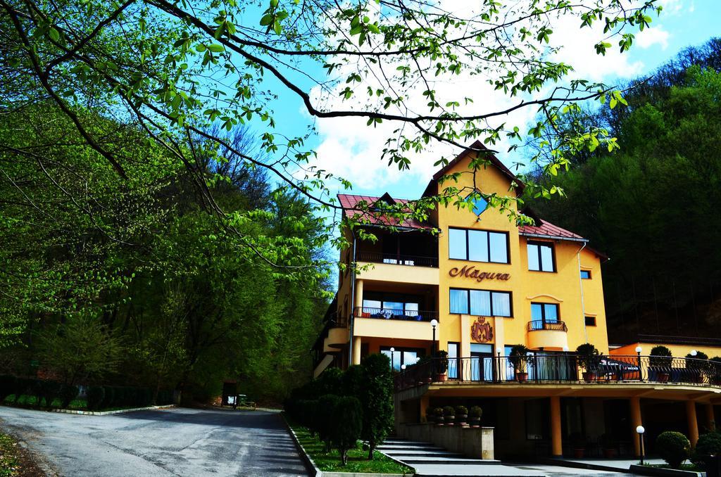 Pensiunea Magura Baia Mare Exterior photo