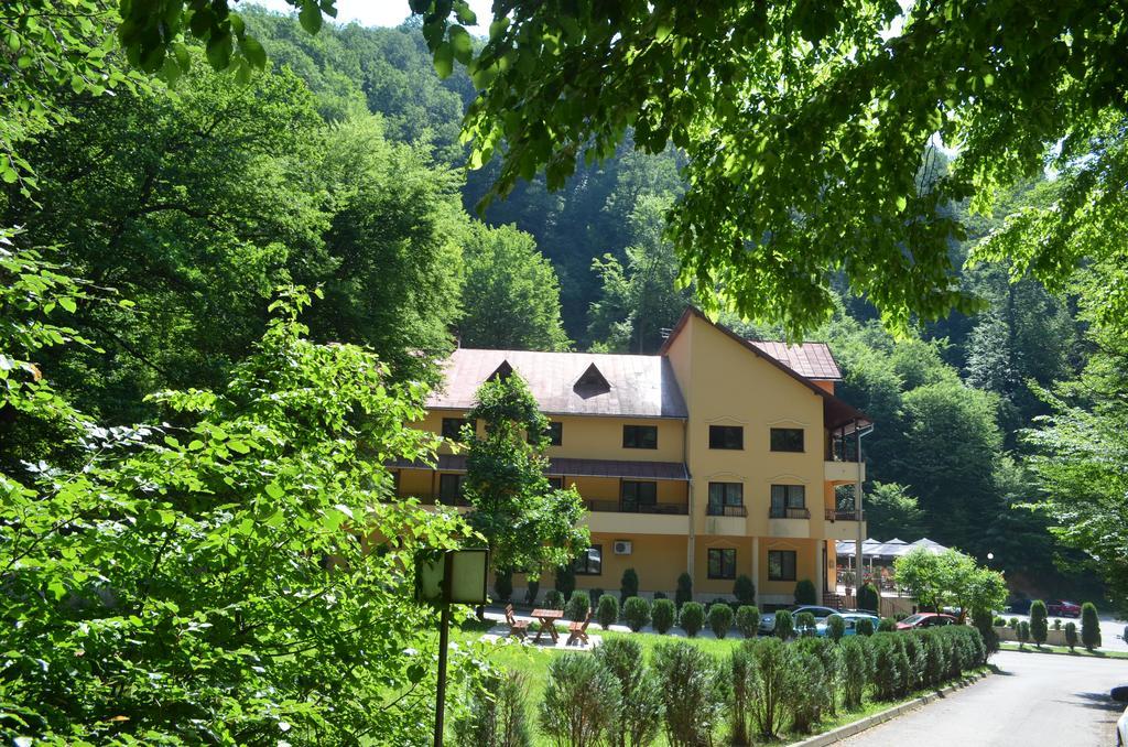 Pensiunea Magura Baia Mare Exterior photo