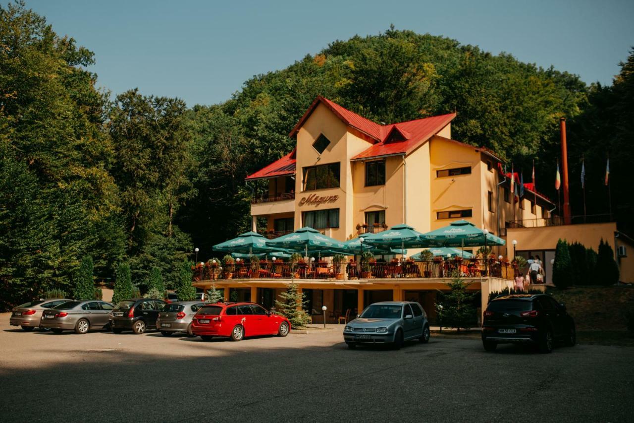 Pensiunea Magura Baia Mare Exterior photo