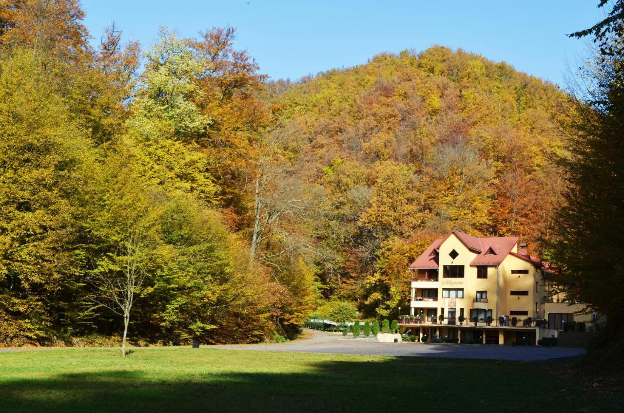 Pensiunea Magura Baia Mare Exterior photo